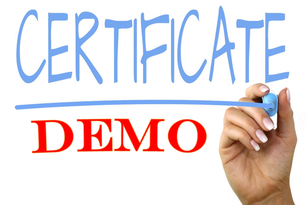 Demo certificates in BPM 12c domain